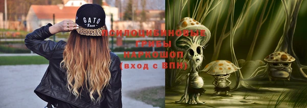 экстази Заводоуковск