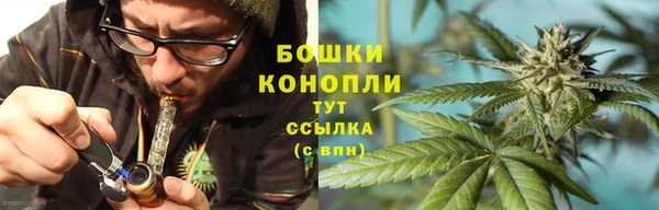 сатива Заволжье