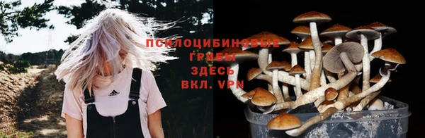 сатива Заволжье